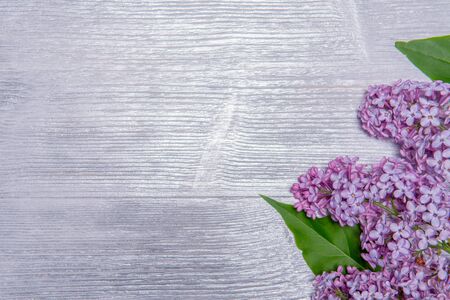 Bouquet of lilac on a silver wooden backgroundの写真素材