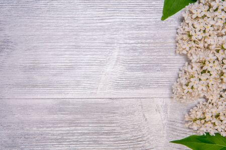 Bouquet of white lilac on a silver wooden backgroundの写真素材