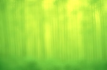 Dream Forest Yellow is bright color on the other warm color and create a soft and comfortable atmosphere の写真素材