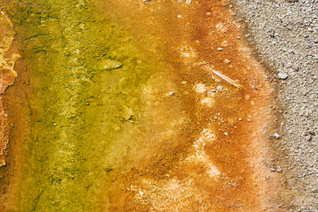 yellow green and brown Earth colored by bacteria in Yellowstone Parkの写真素材