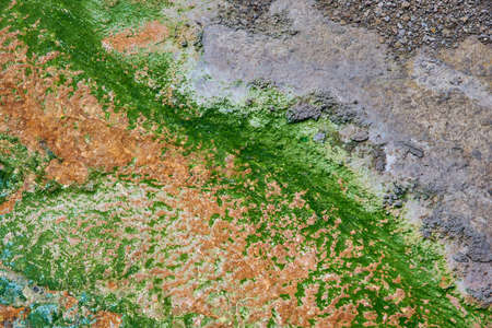 Green brown and grey Earth colored by bacteria in Yellowstone Parkの写真素材