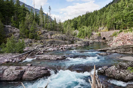 Wild Avalanche Creek cascade in Glaciers National Parkの写真素材