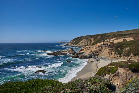 Rocky Coast with beach near Bodega California on a sunny dayの写真素材