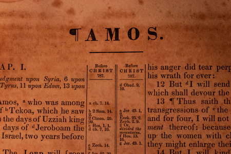 Dictionary definition of the word TAMOS in a dictionary.の写真素材