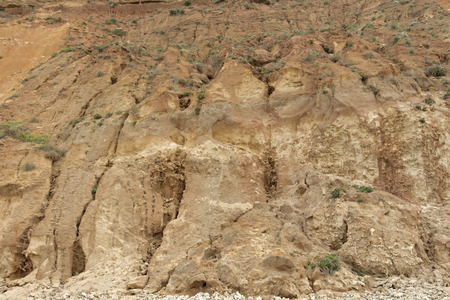 Texture of stone-Coast