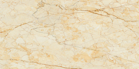 marble texture abstract background pattern with high resolution.The texture of the marble is golden.の写真素材