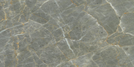 marble texture abstract background pattern with high resolution. (gray)の写真素材