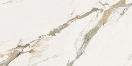 White marble texture with natural pattern for background or design art work.の写真素材