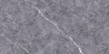 marble texture abstract background pattern with high resolution. (gray)の写真素材