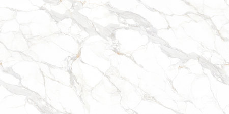 White marble texture with natural pattern for background or design art work.の写真素材