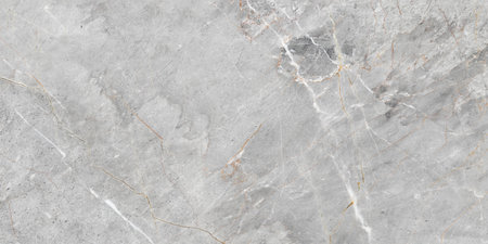 marble texture abstract background pattern with high resolution. (gray)の写真素材
