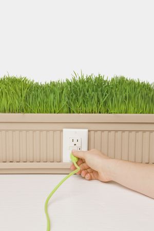 green grass powerの写真素材