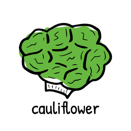 Doodle broccoli cauliflower. Hand drawn vector illustration in doodle style isolated on a white background, logoのイラスト素材