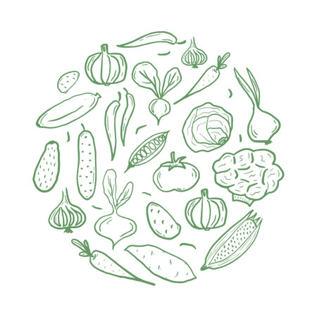 Fresh vegetables circle shape pattern for coloring book. Doodle healthy food mandala coloring page. Hand drawn print with corn, pumpkin, tomato, broccoli, etc. Vector illustrationのイラスト素材