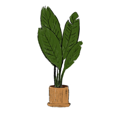 Doodle potted flowers. Hand drawn chalk plant. Crayon watercolor home palm, cactus or succulent. Vector color sketch illustration. Cute design for t-shirt, apparel, cardsのイラスト素材