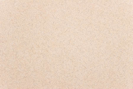 The cream texture of wallの写真素材