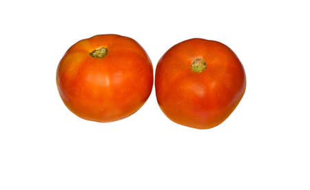 the two red fresh tomatoes with clipping pathの写真素材
