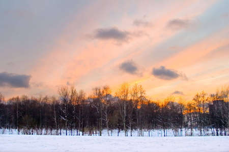 the colorful orange sunset over winter forestの写真素材