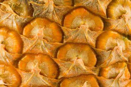 the abstract background from pineapple peel macroの写真素材