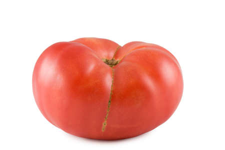 a closeup of a ripe tomato isolated with a shadow on a white backgroundの写真素材