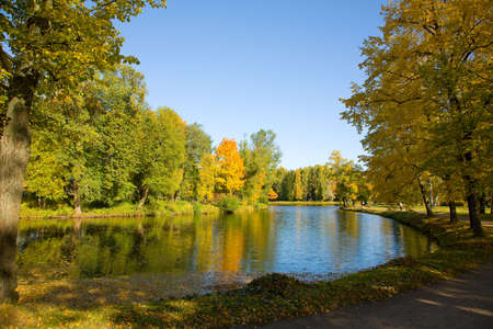 the autumn landscape with yellow tree and small pondの写真素材