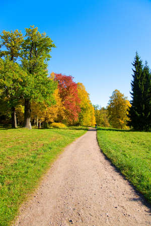 the autumn landscape with yellow, red and green treesの写真素材