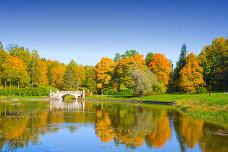 the autumn landscape witn yelow trees and small pondの写真素材