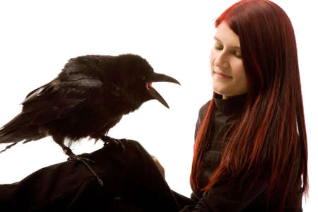 attractive woman with black raven isolated on  white backgroundの写真素材