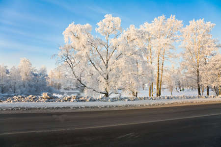 The winter sunny landscape, frozen and snowy