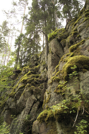 Russian North  Island Valaam  Rocks covered with moss の写真素材