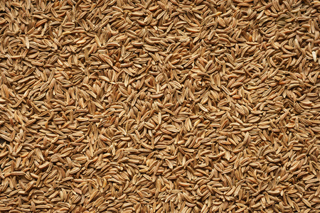 Spice seeds of caraway. Close-up. Background.の写真素材