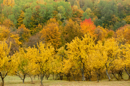 Autumnal viewの写真素材