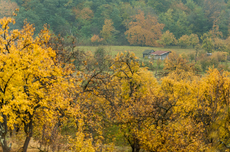 Autumn on hillの写真素材