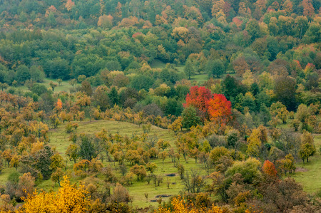 Autumnal landscapeの写真素材