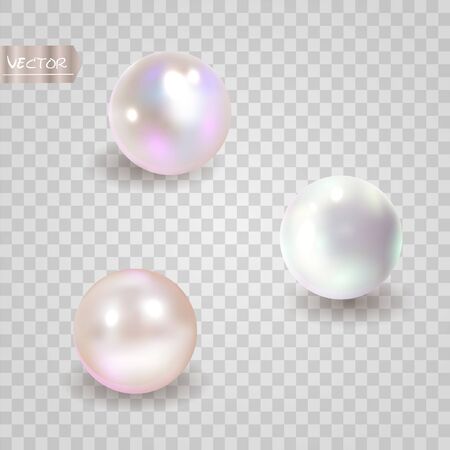 Pearl set isolated on transparent background. Spherical beautiful 3D orb with transparent glares and highlights. Jewel gems. Vector illustration.のイラスト素材