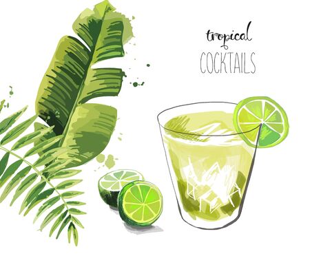Cocktail Summer tropical cocktail background with palm leaves.のイラスト素材
