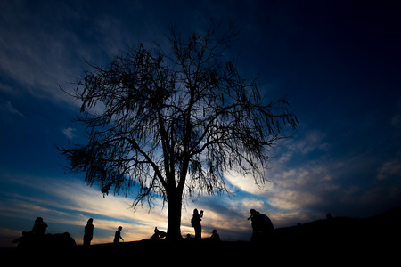 Life Of Treeの写真素材