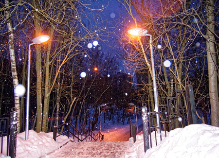 winter Park in Moscow at night in the snowの写真素材