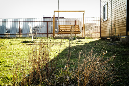 Last year flowers in the spring garden, Russiaの写真素材