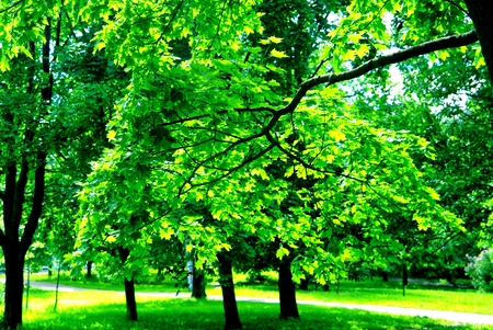 Moscow Park in spring on a clear day, the South-Western suburbsの写真素材