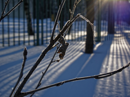 winter snow-covered Park in Moscow, Russiaの写真素材