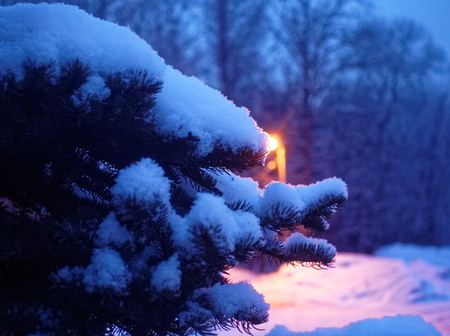street light at night in winter, Moscow