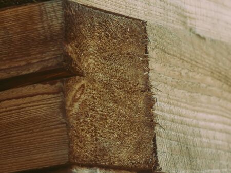 wooouse made of timber in summer, Russiaの写真素材