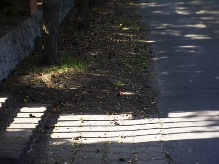 sunlight from behind a fence on the road, Russia