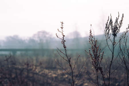 River banks in the spring in a midland of Russia. In the sunny day.の写真素材