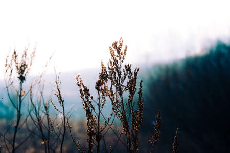 River banks in the spring in a midland of Russia. In the sunny day.の写真素材