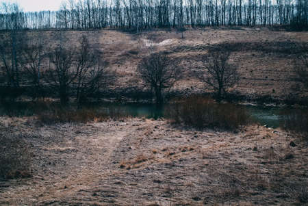 little river in spring in a clear morning, Russiaの写真素材