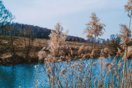 little river in spring in a clear morning, Russia
