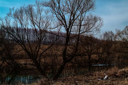 little river in spring in a clear morning, Russia