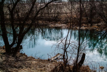 little river in spring in a clear morning, Russiaの写真素材